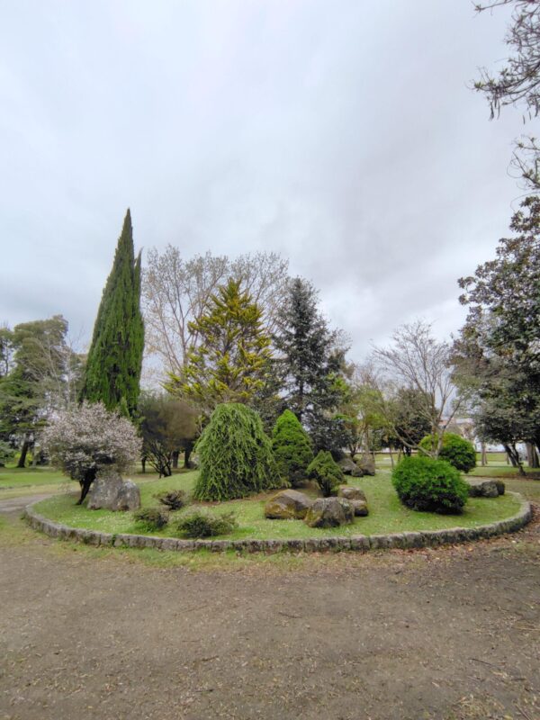 Visita guiada a los árboles de Betanzos